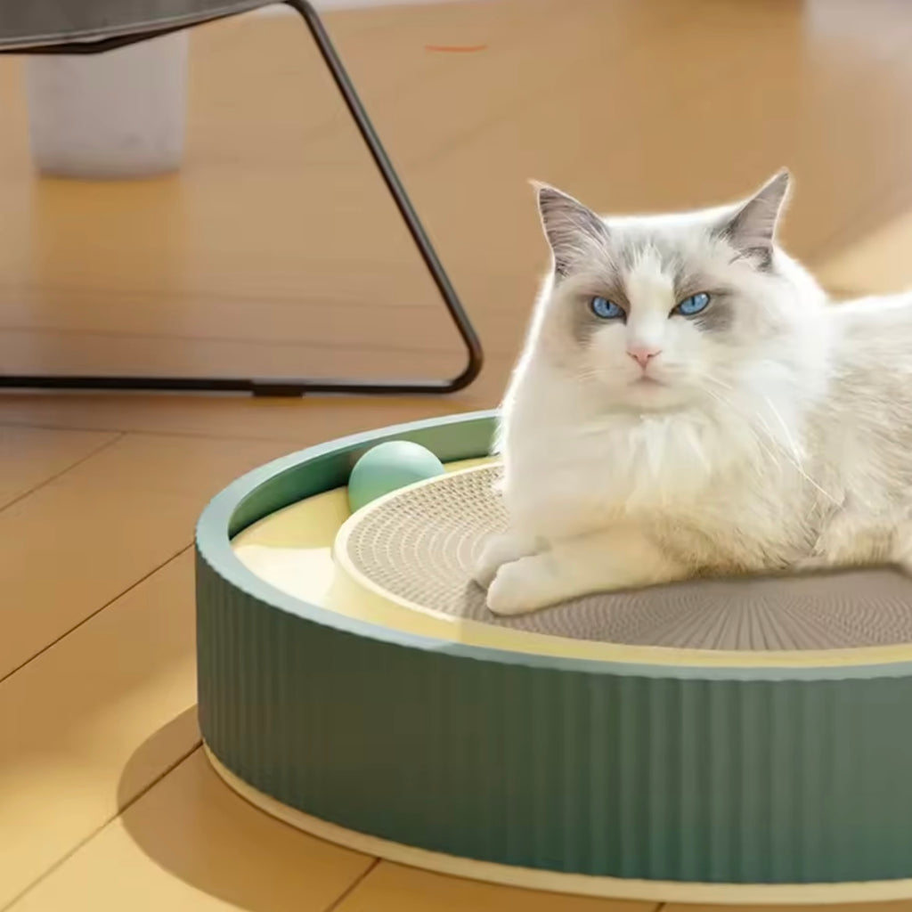 Rund klorestol til katt med leke